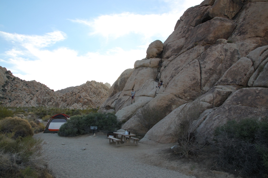 Joshua Tree